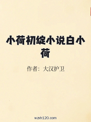 小荷初绽小说白小荷