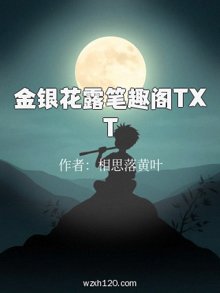 金银花露笔趣阁TXT