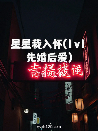 星星我入怀(1v1先婚后爱)