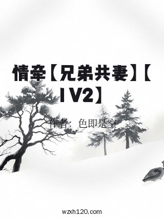情牵【兄弟共妻】【1V2】
