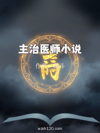 主治医师小说