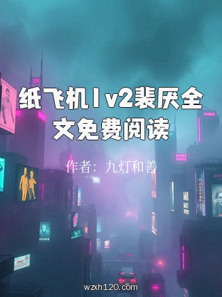 纸飞机1v2裴厌全文免费阅读
