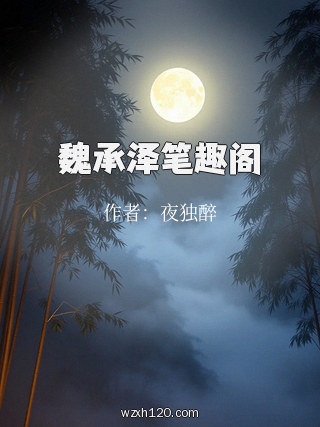 魏承泽笔趣阁