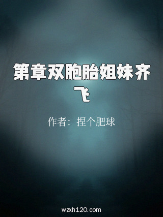第章双胞胎姐妹齐飞