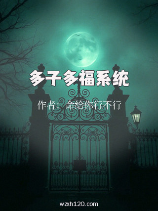 多子多福系统