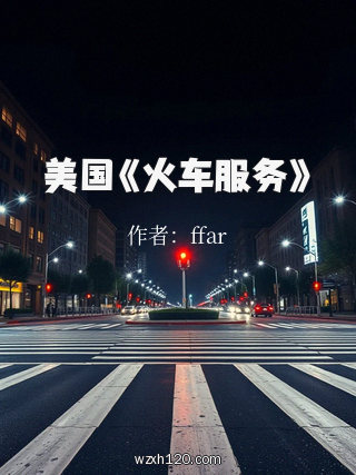 美国《火车服务》