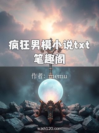 疯狂男模小说txt笔趣阁