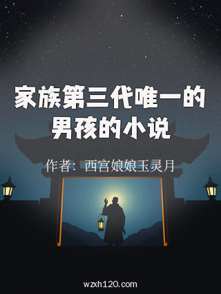 家族第三代唯一的男孩的小说