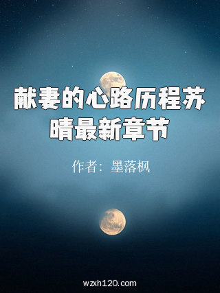献妻的心路历程苏晴最新章节