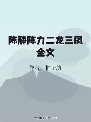 陈静陈力二龙三凤全文