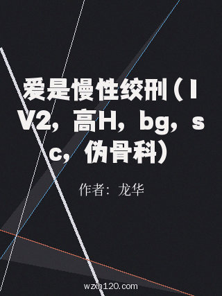 爱是慢性绞刑(1V2,高H,bg,sc,伪骨科)