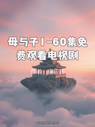 母与子1-60集免费观看电视剧