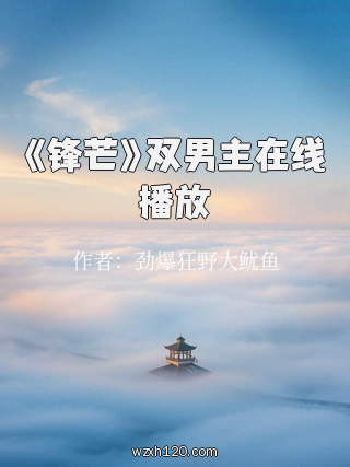 《锋芒》双男主在线播放