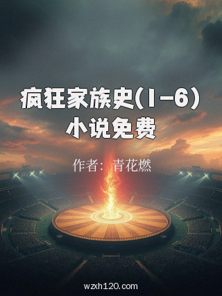 疯狂家族史(1-6)小说免费