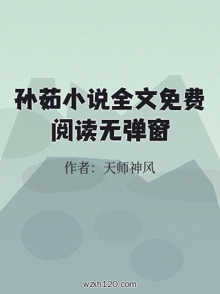 孙茹小说全文免费阅读无弹窗