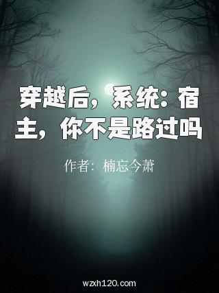 穿越后,系统:宿主,你不是路过吗