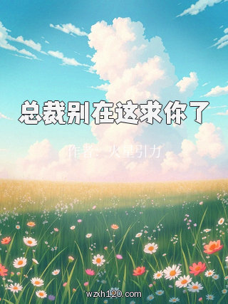 总裁别在这求你了