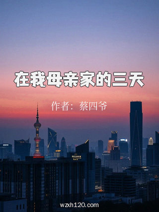 在我母亲家的三天