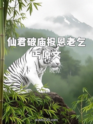仙君破庙报恩老乞丐原文