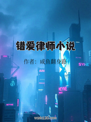 错爱律师小说