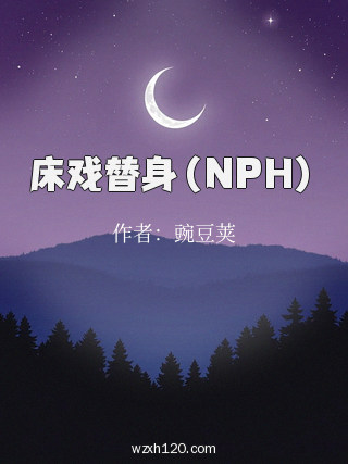 床戏替身(NPH)