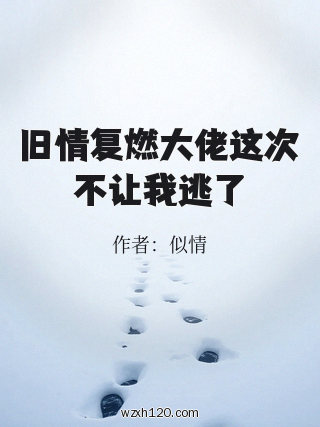 旧情复燃大佬这次不让我逃了