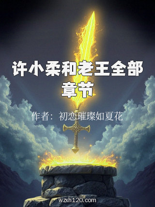 许小柔和老王全部章节