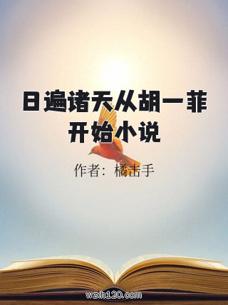日遍诸天从胡一菲开始小说