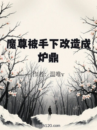 魔尊被手下改造成炉鼎