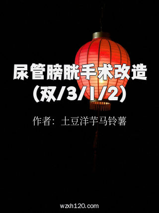 尿管膀胱手术改造(双/3/1/2)