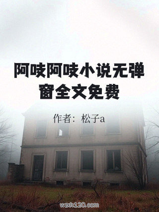 阿吱阿吱小说无弹窗全文免费