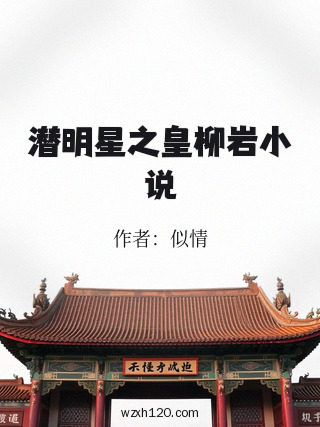 潜明星之皇柳岩小说
