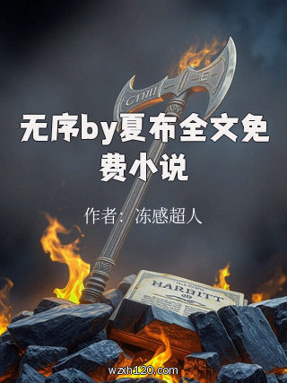 无序by夏布全文免费小说