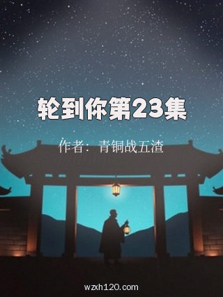 轮到你第23集