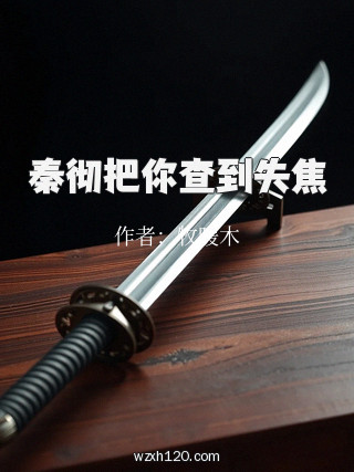 秦彻把你查到失焦