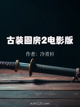 古装圆房2电影版