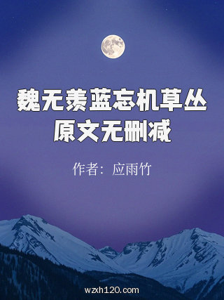 魏无羡蓝忘机草丛原文无删减