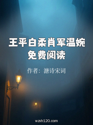 王平白柔肖军温婉免费阅读