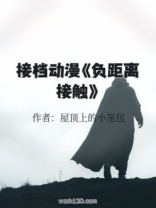 接档动漫《负距离接触》