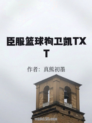 臣服篮球狗卫凯TXT