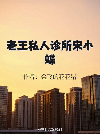 老王私人诊所宋小蝶