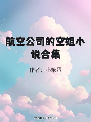 航空公司的空姐小说合集