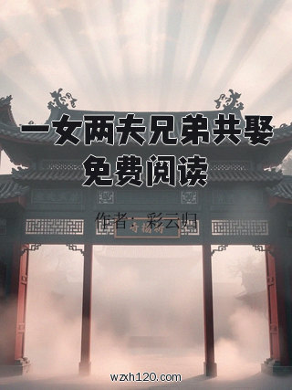 一女两夫兄弟共娶免费阅读