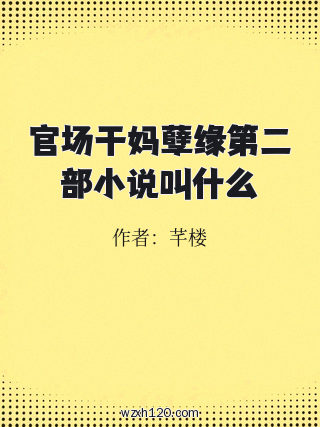 官场干妈孽缘第二部小说叫什么