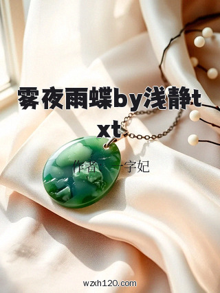 雾夜雨蝶by浅静txt