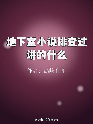地下室小说排查过讲的什么