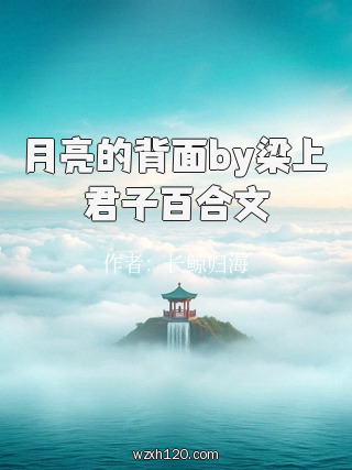 月亮的背面by梁上君子百合文