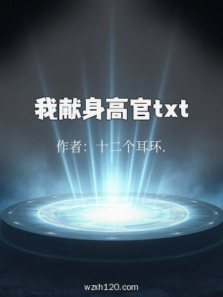 我献身高官txt