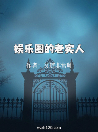 娱乐圈的老实人