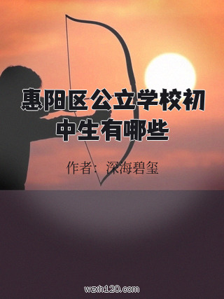 惠阳区公立学校初中生有哪些